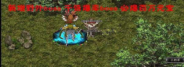 ͨ33wt