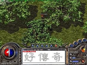 2016������ʧ����