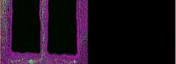 ����ͨ���淨ʦӦ����ô����������ն