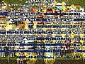 1.76������Ʒ,�Ҳ�֪���к�Ұ���õ���