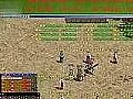�����洫���,��Ҳ֪���ĺ�Ұ������˵